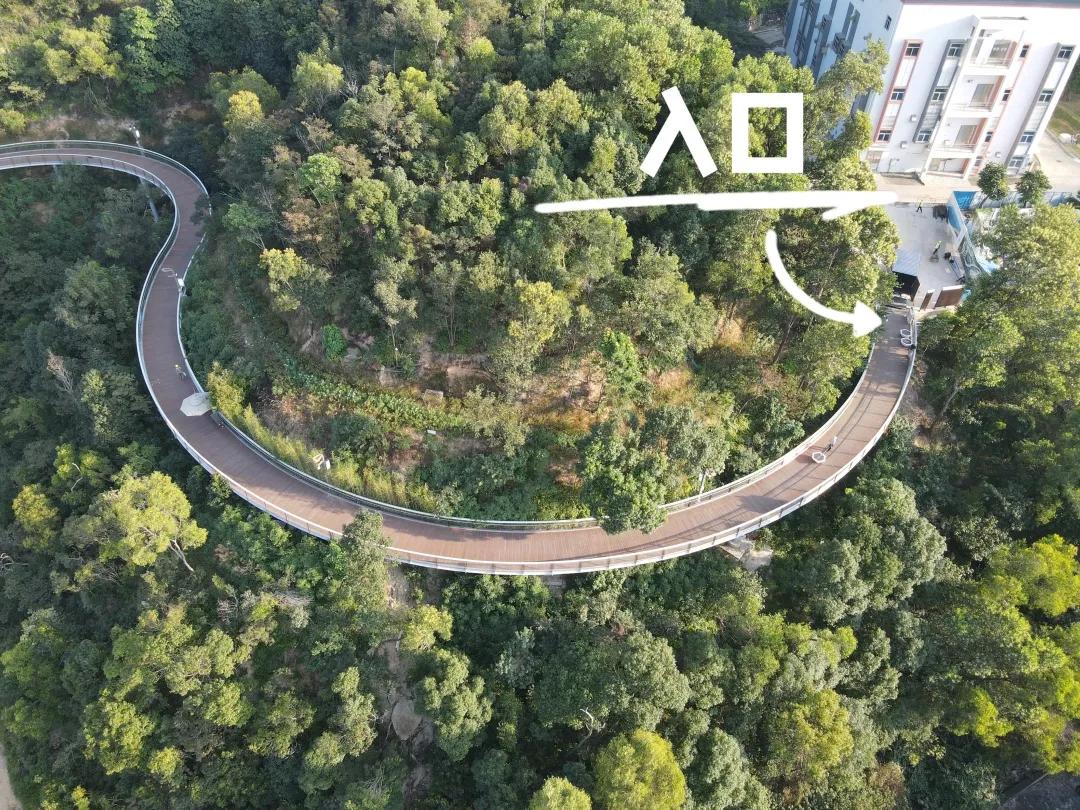 珠海新景区开园,2021珠海春节免费开放景区