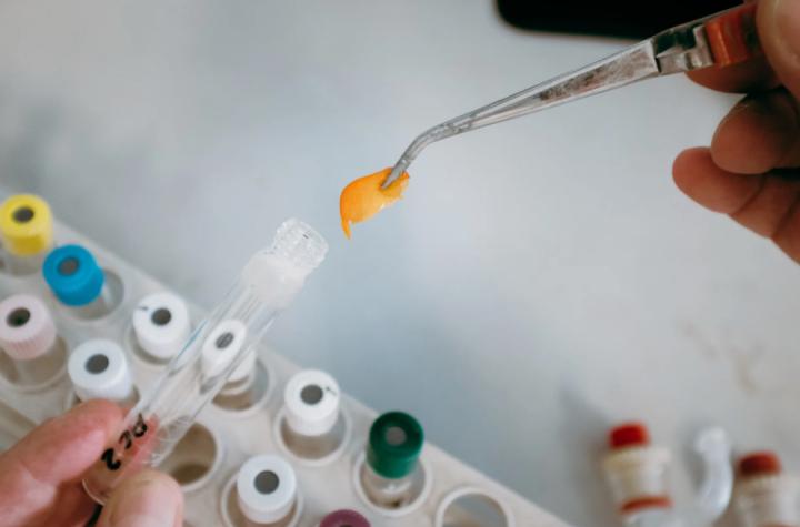 伦艺哪个学院有工业设计专业,伦艺哪个学院最好就业