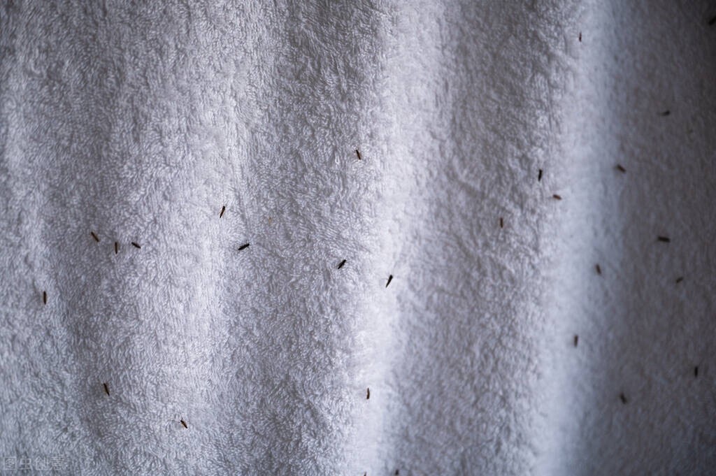 毛巾有异味怎么办？只需一招帮你远离异味