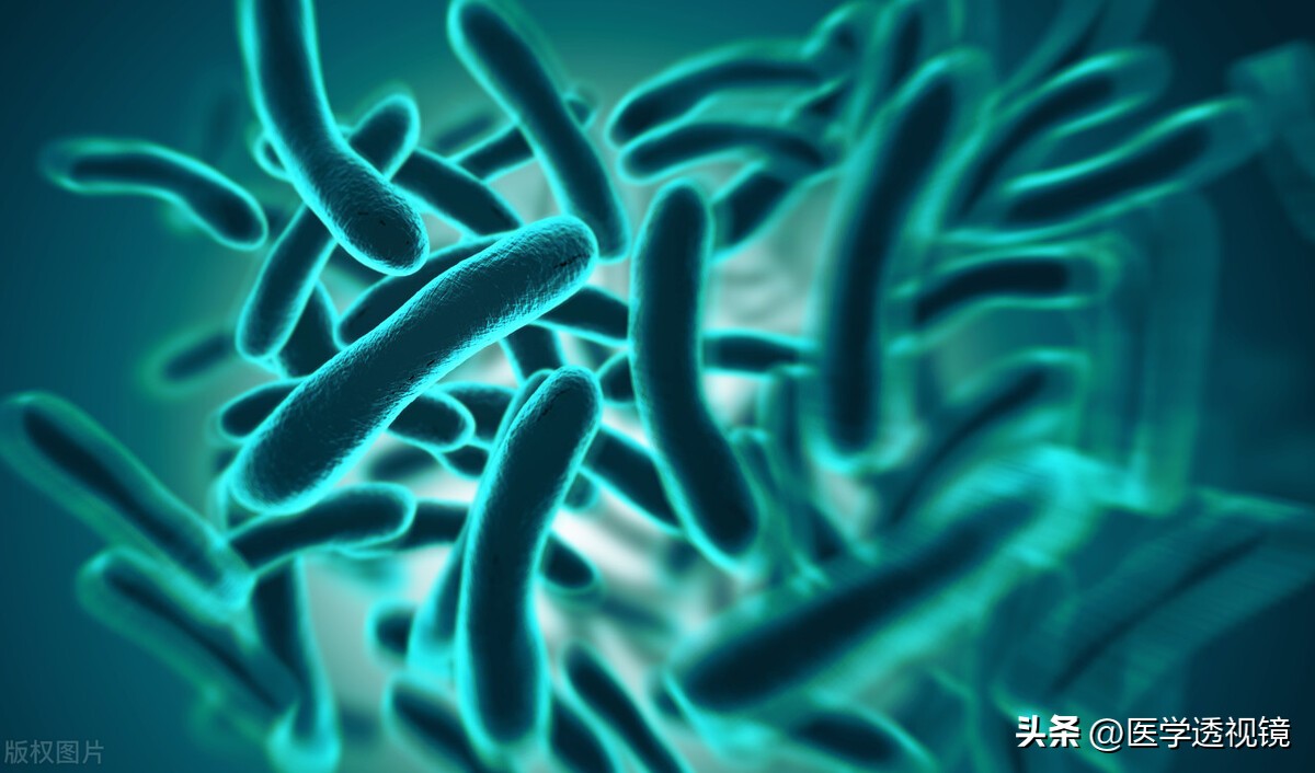 屎能治病,屎可以治病吗