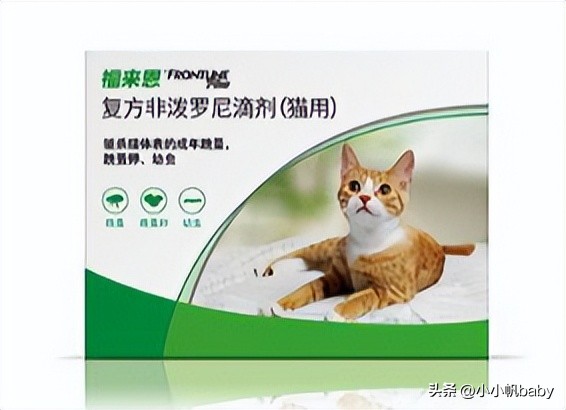 新手养猫铲屎官攻略,新手养猫驱虫知识