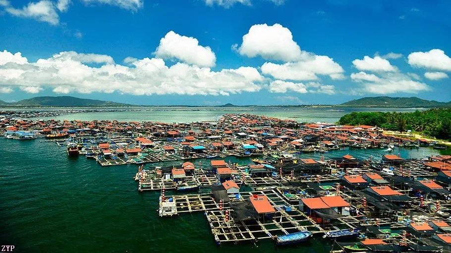 中国人文摄影获奖作品,大美中国摄影作品展获奖