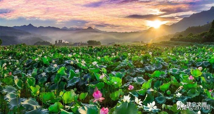 世界最大的梯田,世界梯田之最