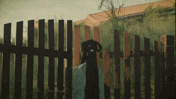 连续21年吊打厦门！这座疯狂“搞钱”的小城，藏着比三亚清净的海