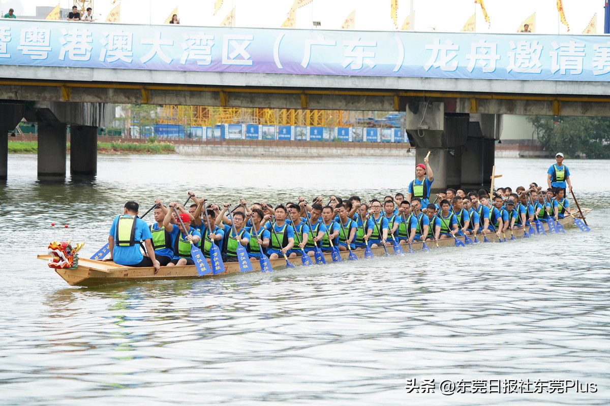 大湾区龙舟队伍,大湾区龙舟比赛完整视频回放