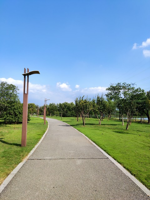 被爸妈逼着去相亲最后选择妥协了,父母逼着和相亲对象在一起怎么办