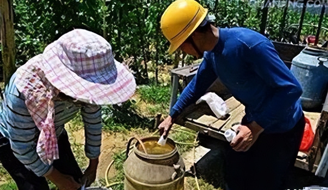 根施和喷施有什么区别,肥料是灌根好还是喷叶面好