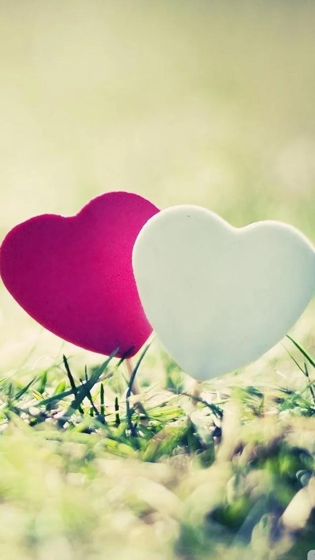 好看的的壁纸高清,好看的壁纸正方形图片