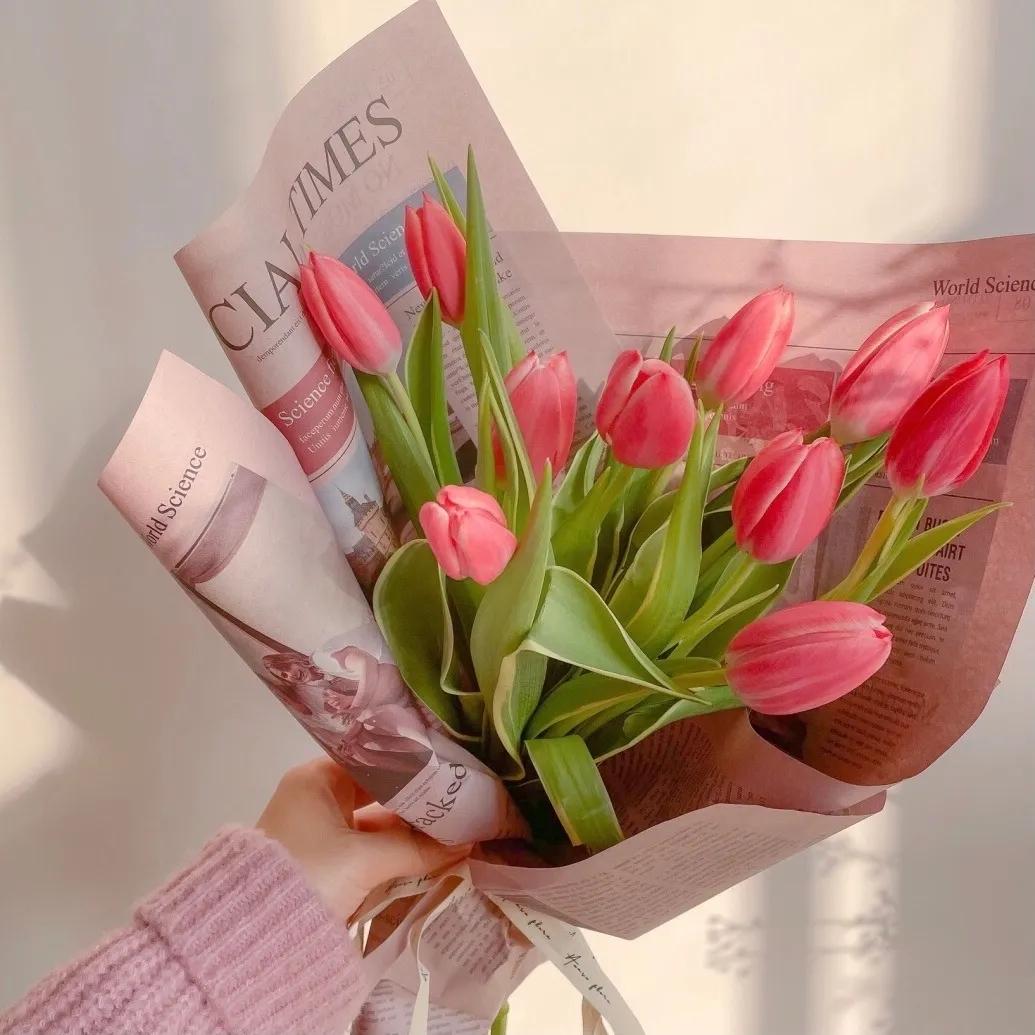 郁金香图片唯美大图,郁金香背景图粉色花海