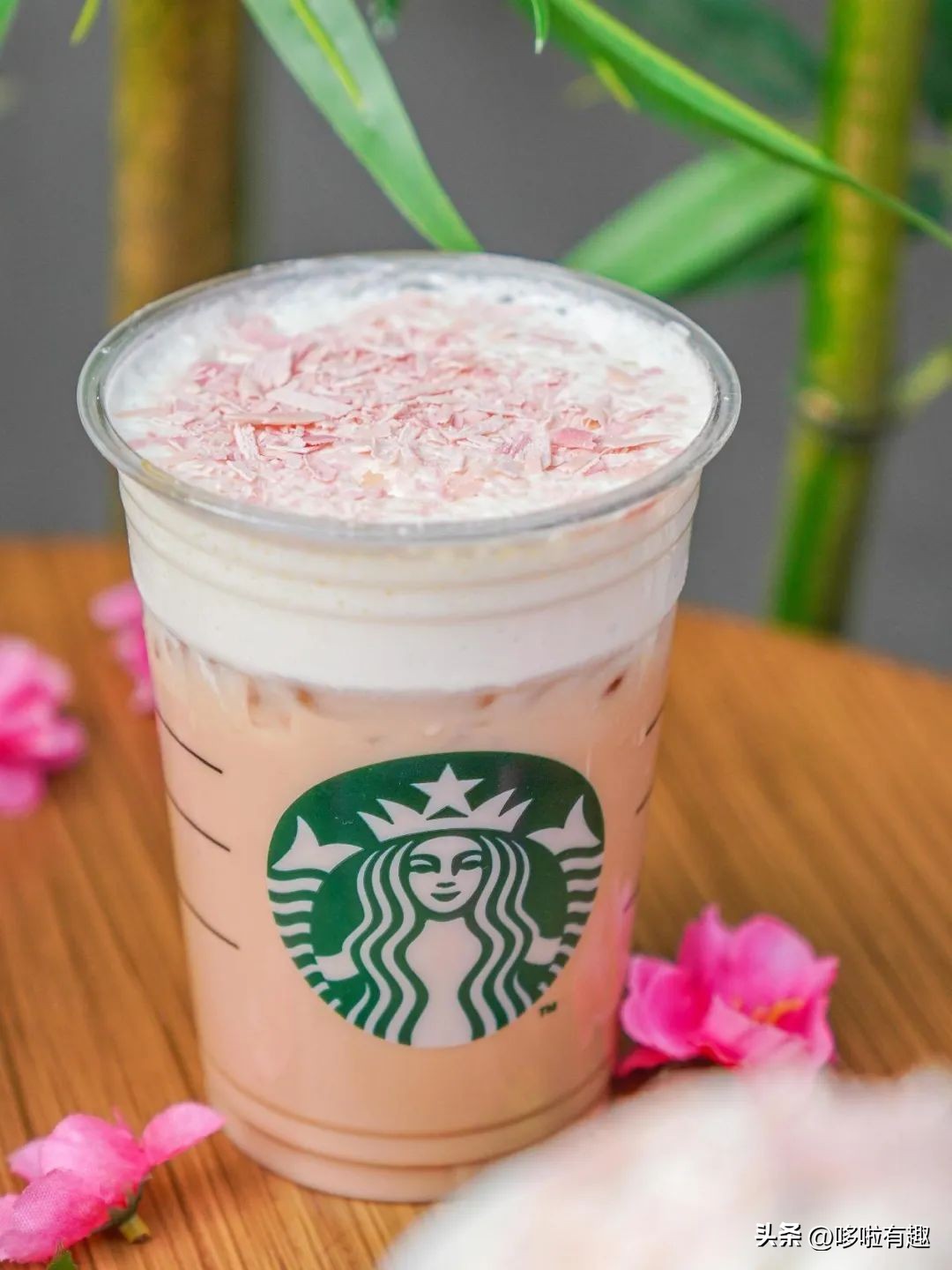 星巴克樱花拿铁咖啡,樱花抹茶拿铁星巴克热饮