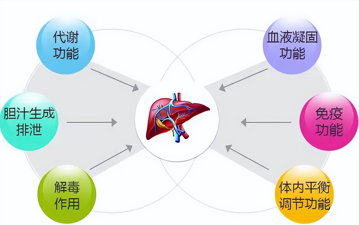 身上有怪味是大病的预兆,人如果生大病了身上会有异味