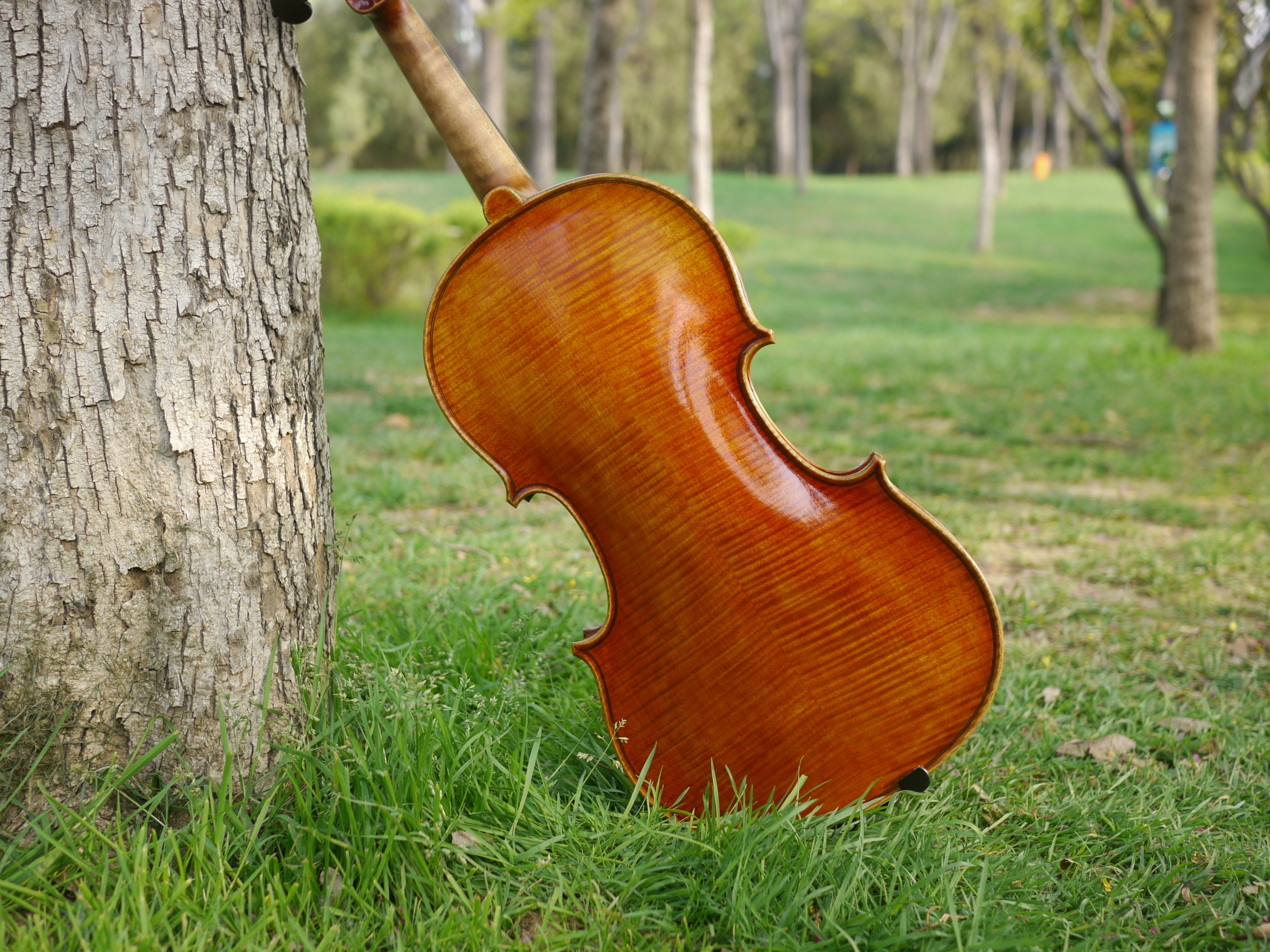 小提琴价格一般多少钱一台,小提琴价格多少钱最好