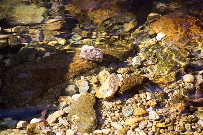 冬天寻访秦岭大峪，不但还有古道遗迹可循，还能见到这条野生广告
