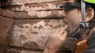 死去的生物突然开始攻击我,人类死亡后细胞拼命自救