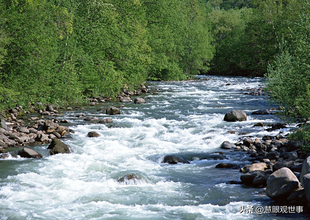 语文古诗词必背大全,古诗词考试必背诗句