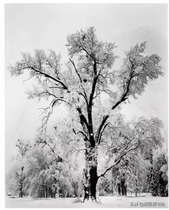 安塞尔亚当斯风光摄影,安塞尔亚当斯摄影经典作品图片