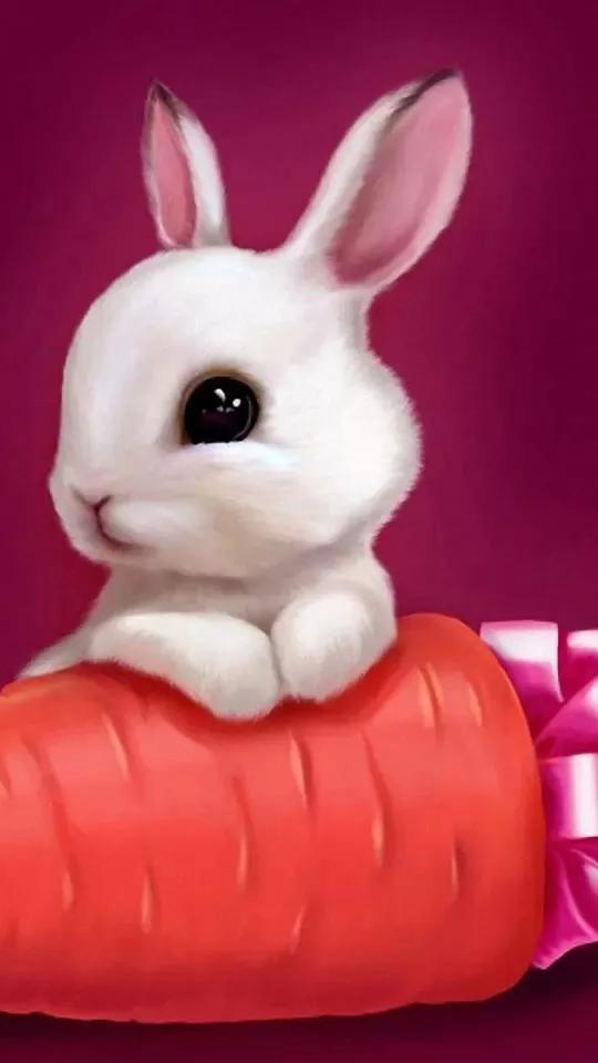 迪士尼可爱动物壁纸动态,可爱动物手机壁纸超清全面屏