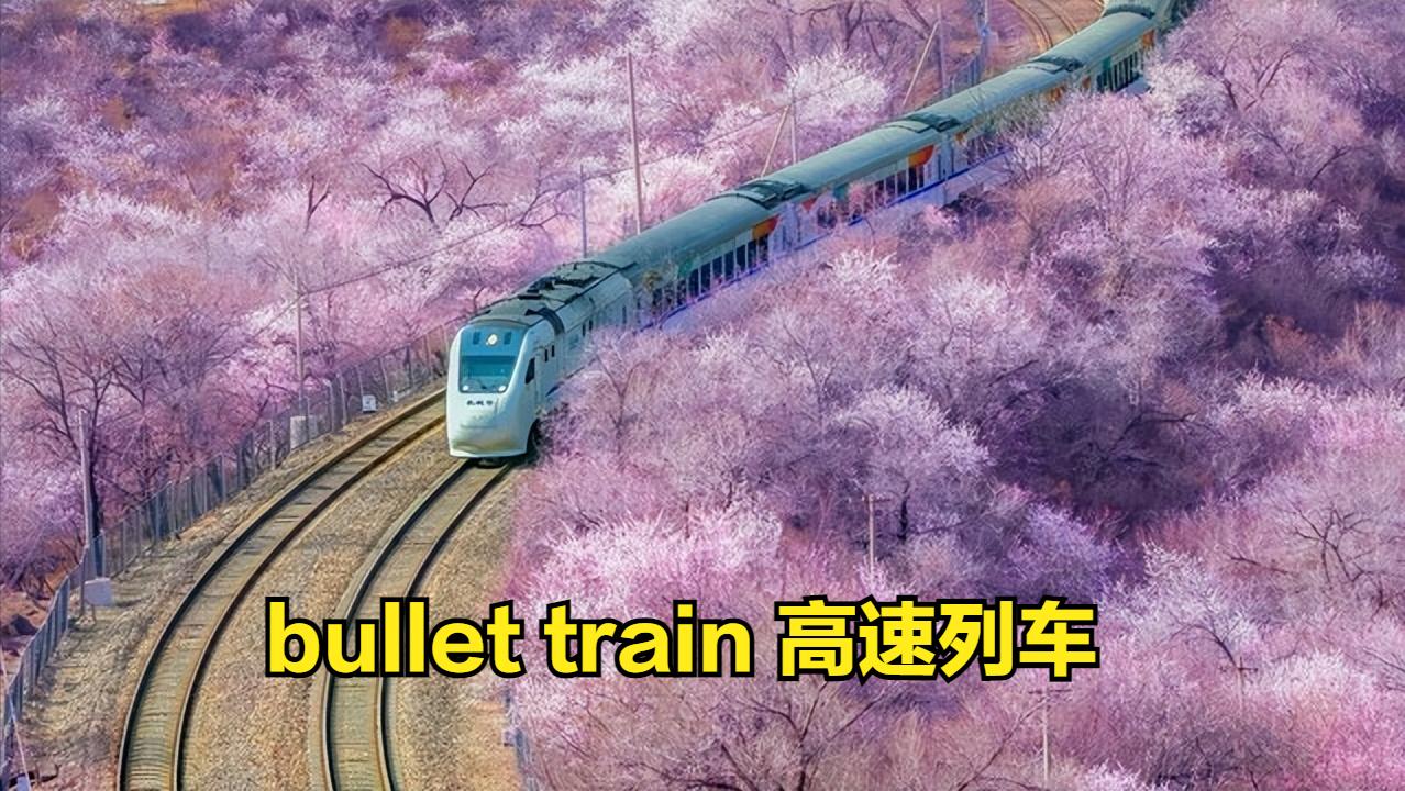 小学英语单词打卡软件,小学英语单词人教版