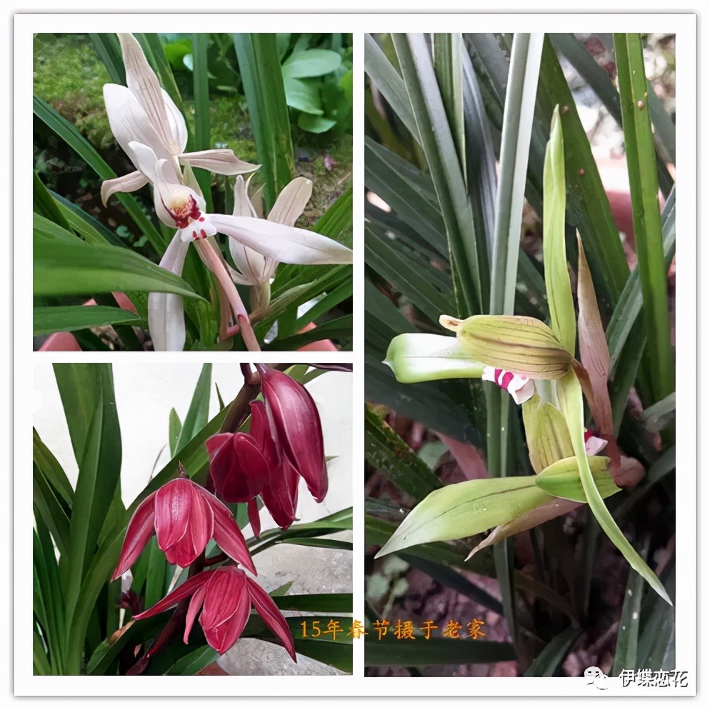 杩囧勾鍘诲摢璧忓叞,鍛ㄦ湯璧忓叞