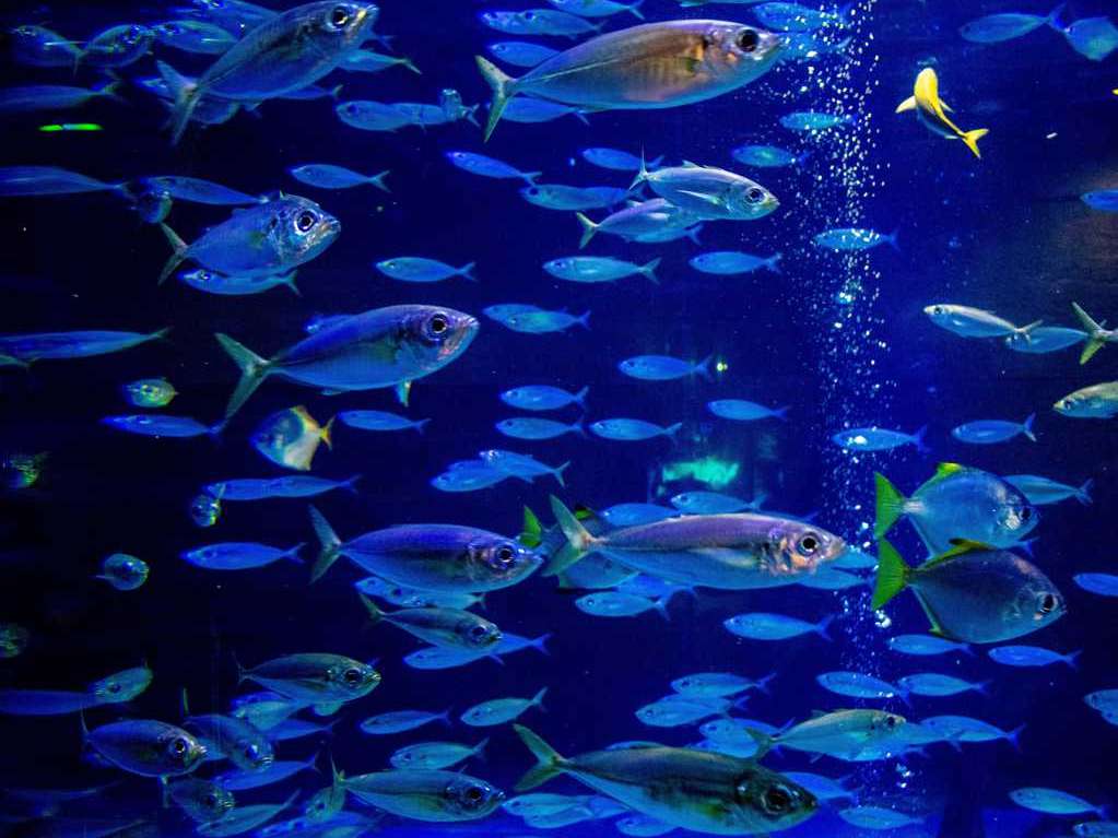 云南六一儿童节旅游攻略,云南适合小朋友旅游的地方