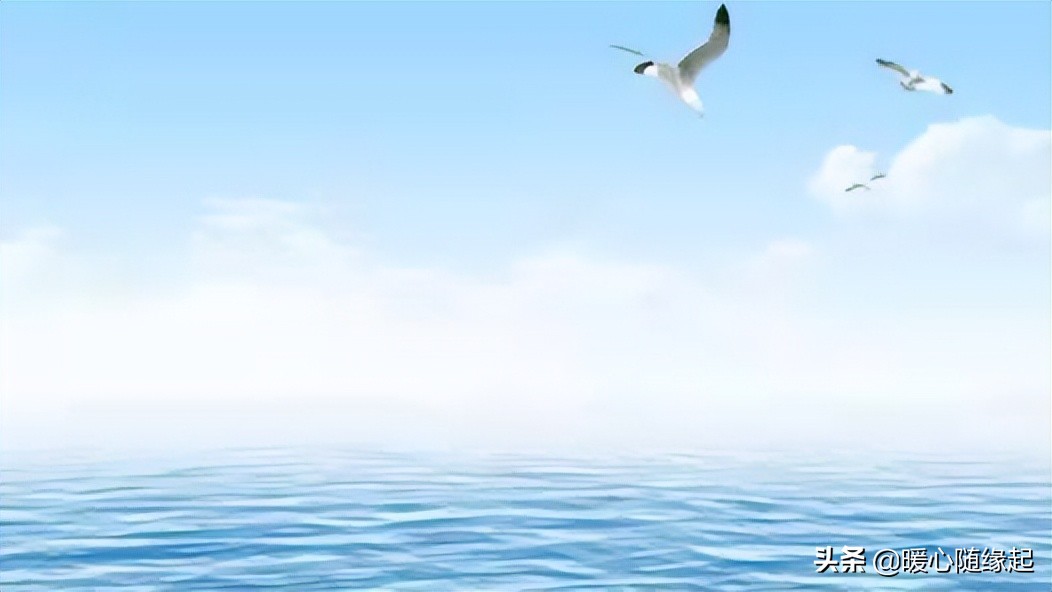 当你心情不好的时候一定要去海边,当你伤心难过怎么办