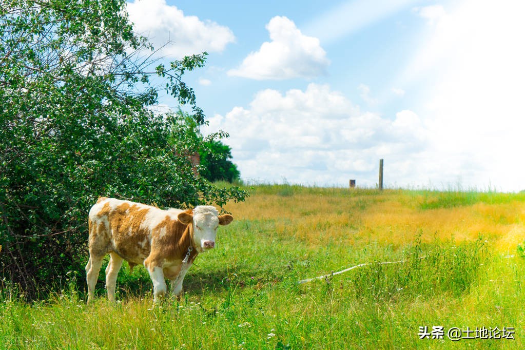 家庭农场可以办理信用贷么,家庭农场怎样能获批大的贷款