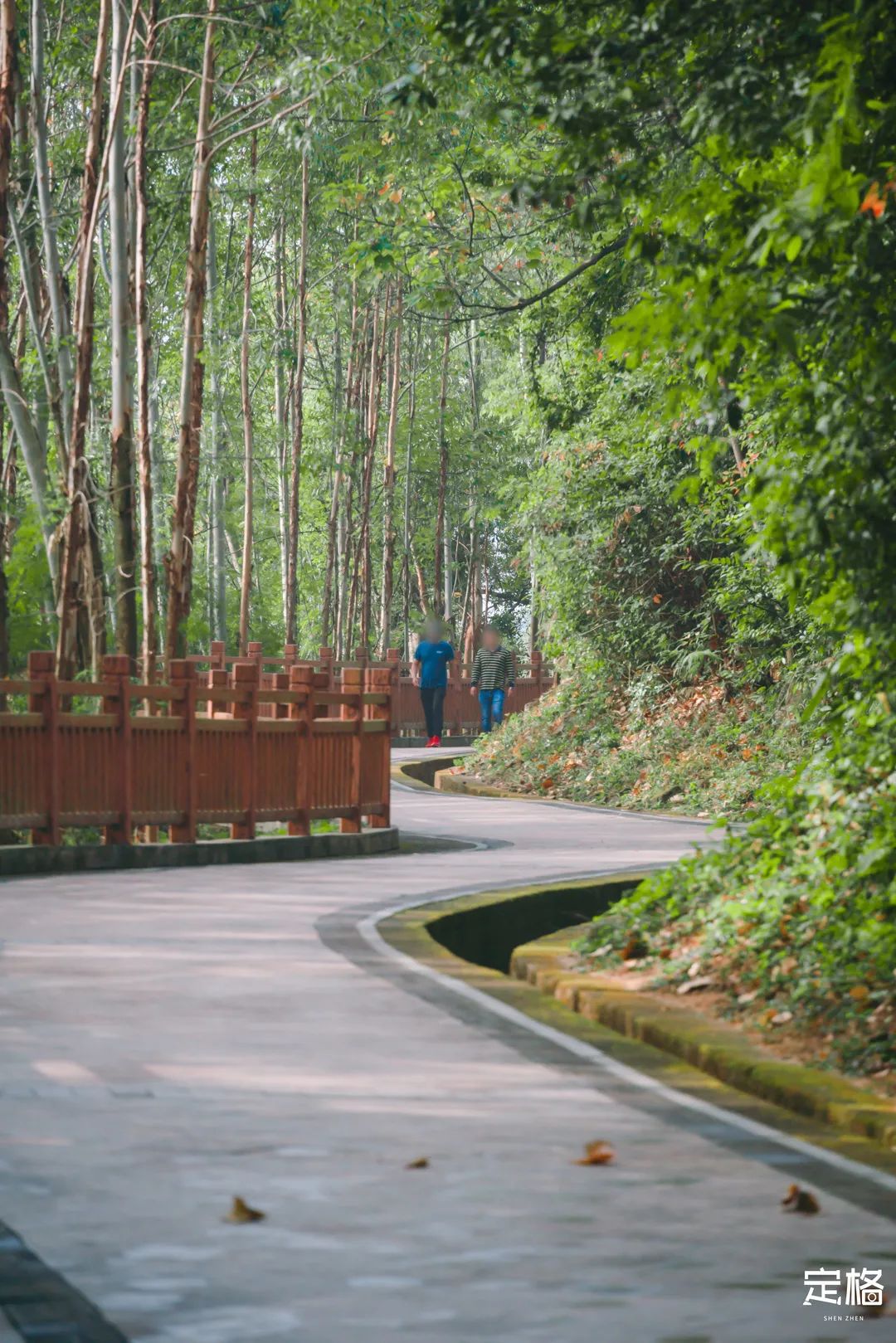凤凰山绿道开放时间,凤凰山绿道全长多少公里