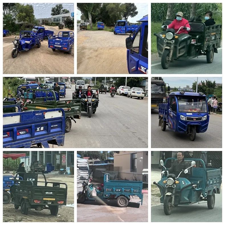 正规电动三轮车什么牌子的最好,现在买电动三轮车哪个牌子好