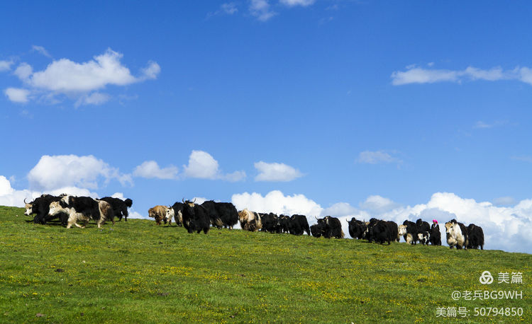 祁连山草原哪里最美,祁连山深处草原
