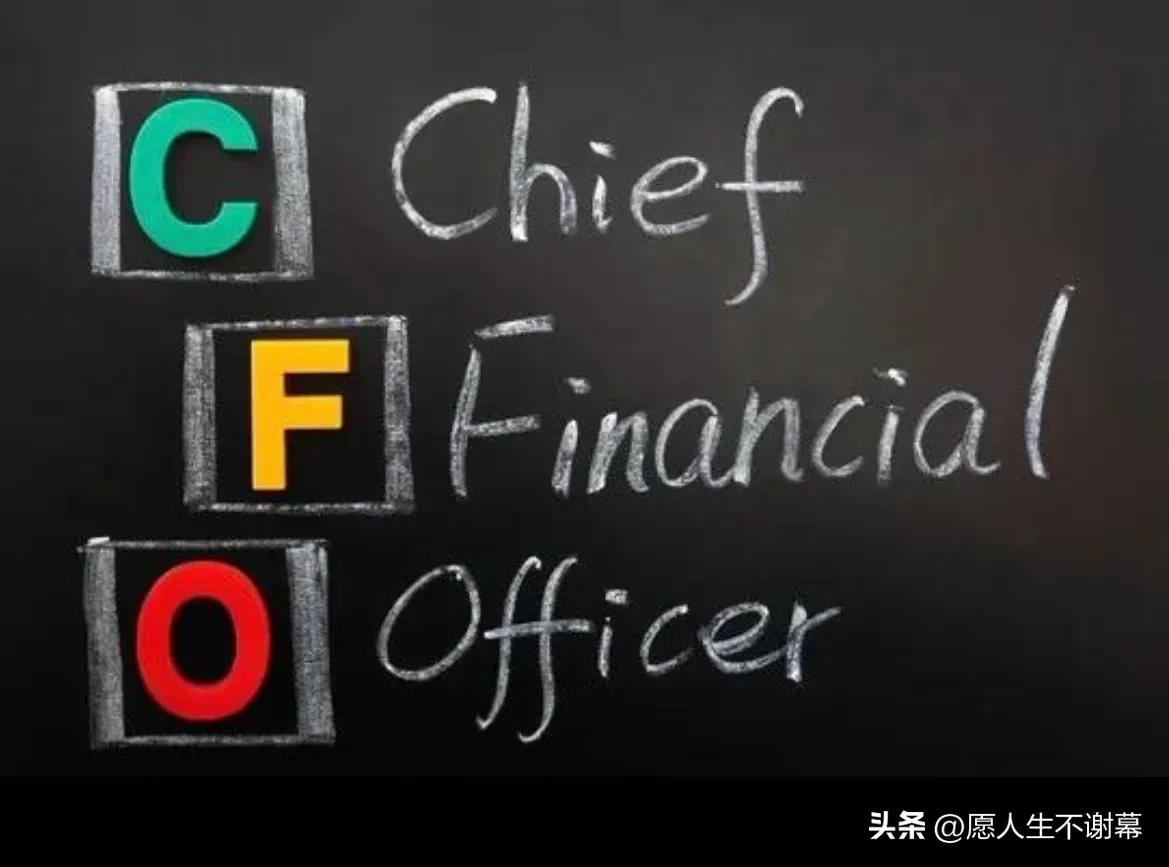 ceocfocooctocio分别代表什么,ceo英文缩写是什么