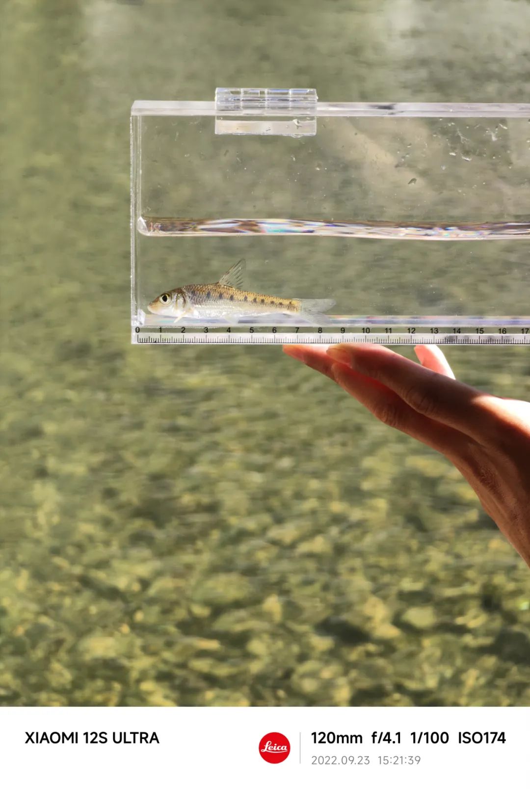 秋高气爽游玩攻略,秋高气爽游玩黄金季