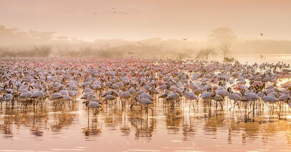 中国张家界首届世界遗产摄影大展,张家界世界遗产