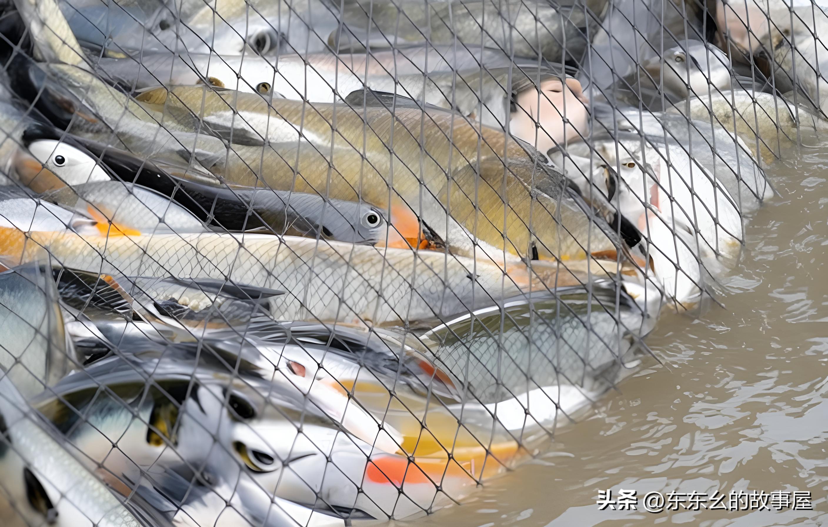 期货交易新手入门视频教程,期货模拟交易新手经历