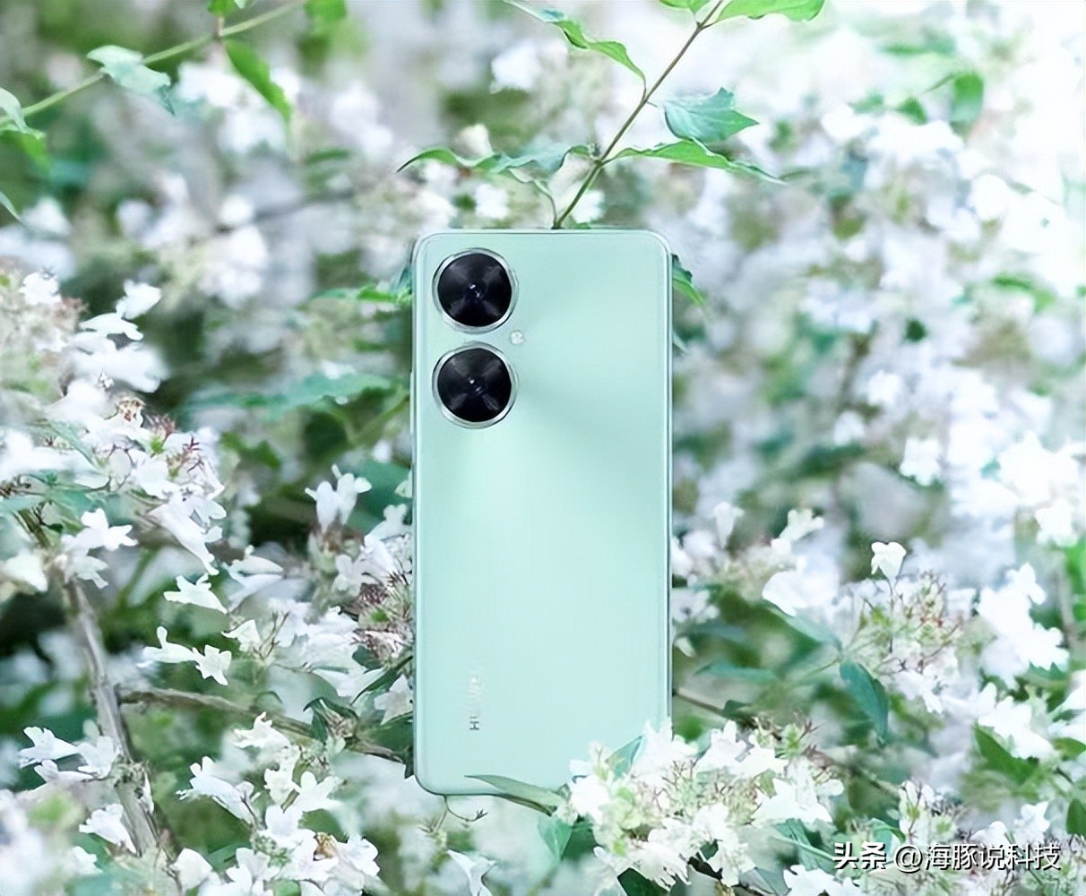 华为新突破：256GB大内存+6.8英寸大屏+5000mAh+鸿蒙OS，仅1649元