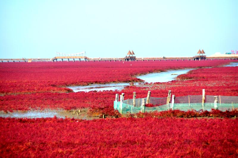 辽宁盘锦在哪个地方,去盘锦旅游哪里好