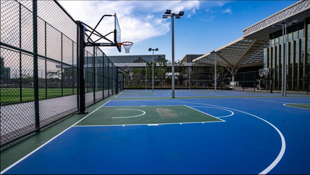 今起，这个场馆又免费开放了！