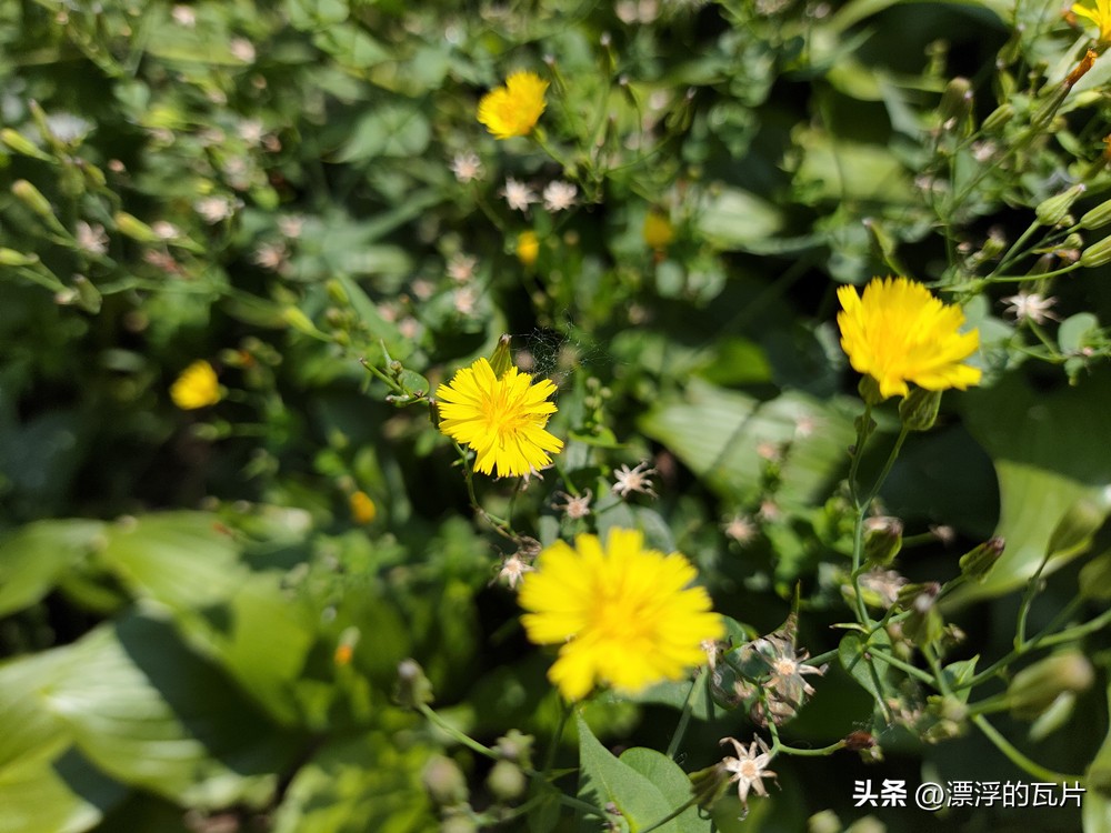 12月红米note12turbo还值得买吗,为什么更推荐红米note12turbo