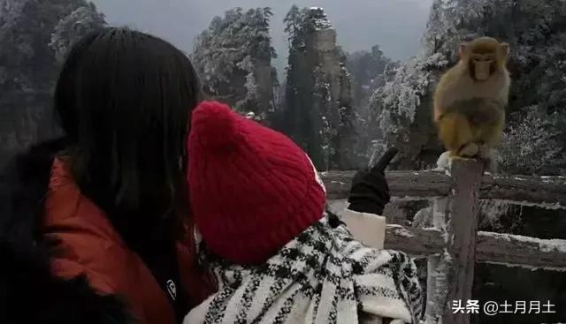 上班时间小职员被老板抓,上班时间被老板抓到玩游戏怎么办