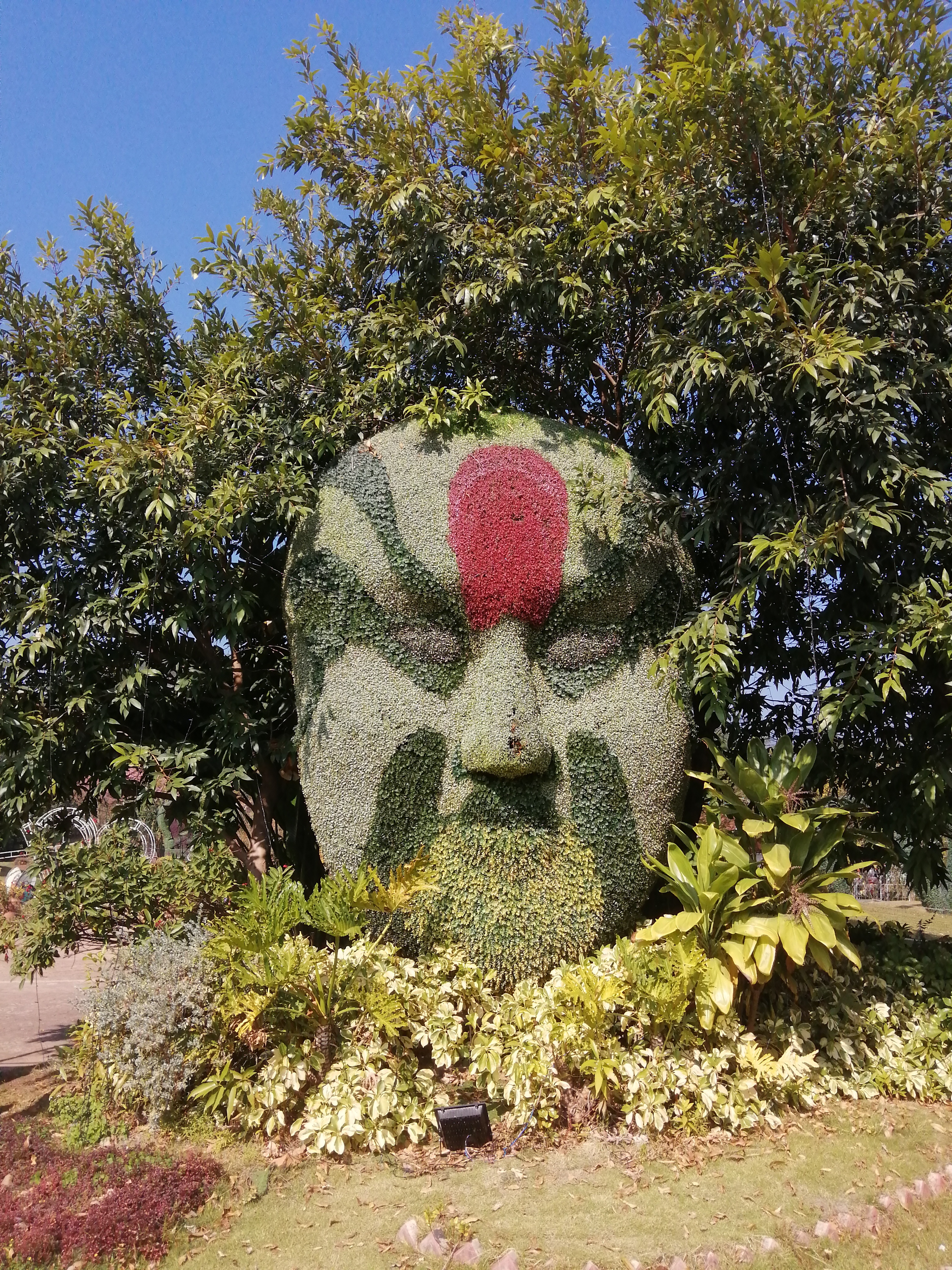 客天下(四):客天下田园花海CS战场山地车小朋友玩得乐不思蜀