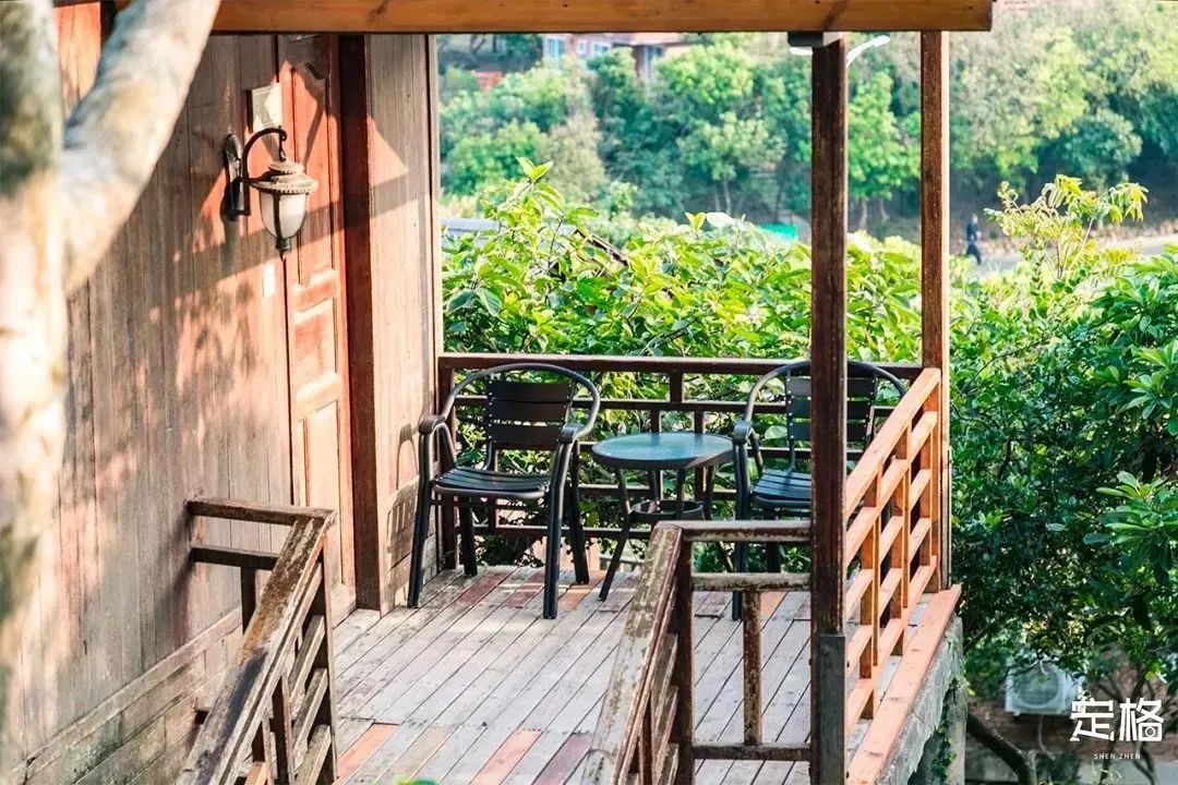 深圳10个小众打卡地免费游玩,深圳十大免费打卡地