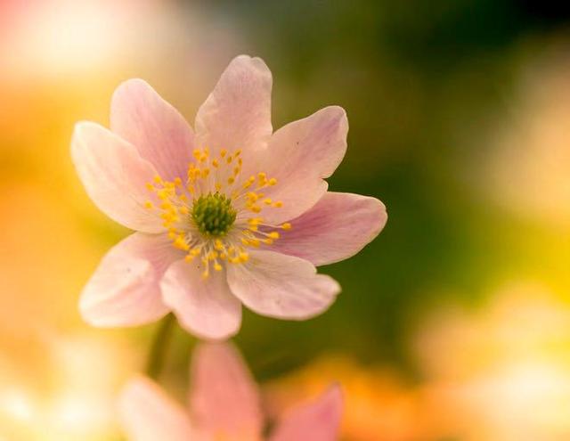 成年人用的聊天工具,成年人聊天工具