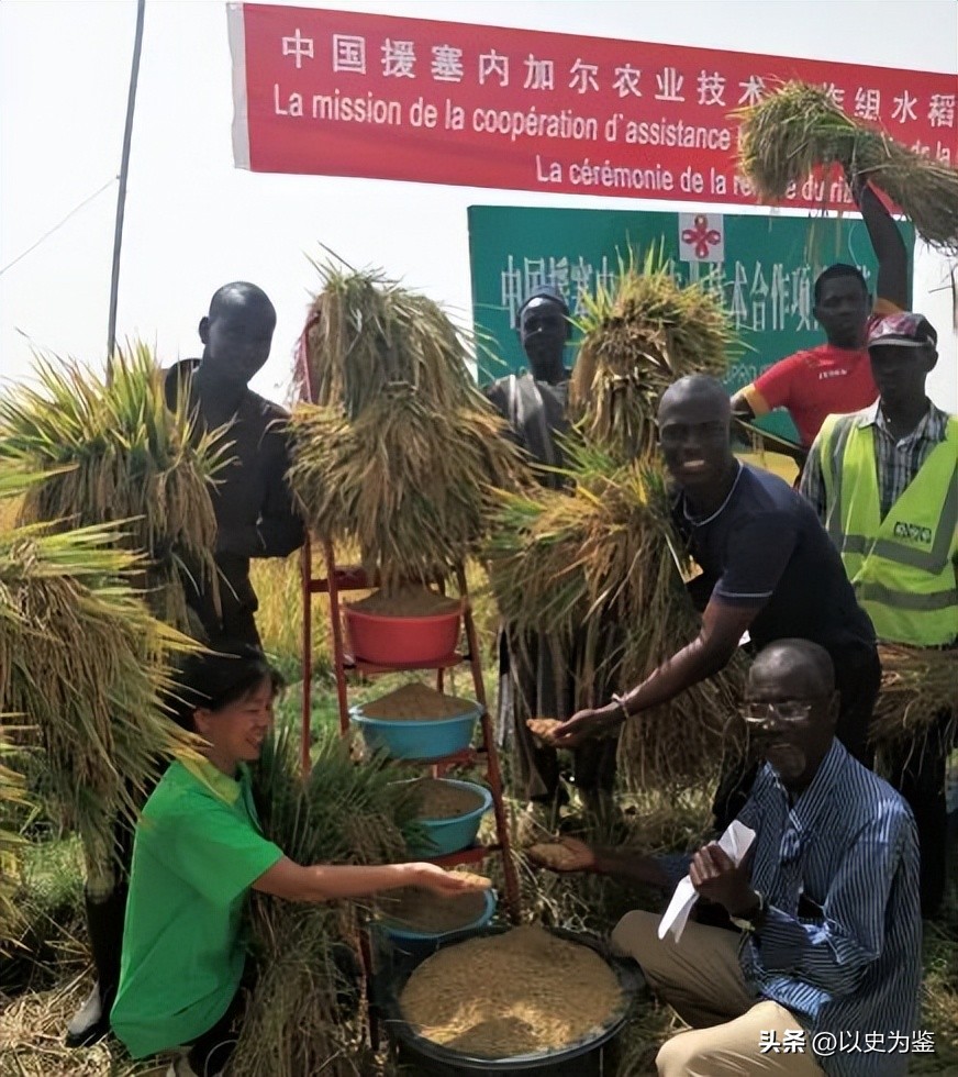 塞内加尔厉害不,塞内加尔为什么不发达