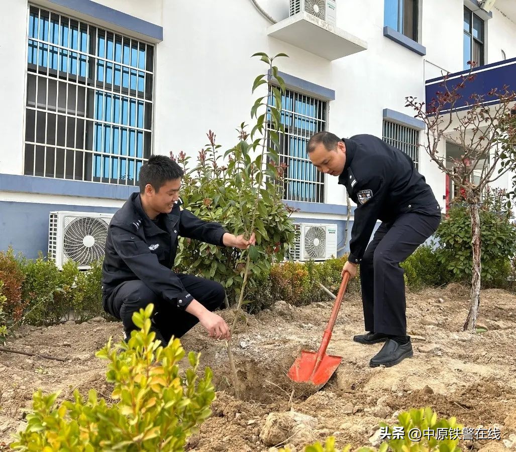 拥抱春天播种希望植树节手抄报,植树节拥抱春天播种梦想主题班会