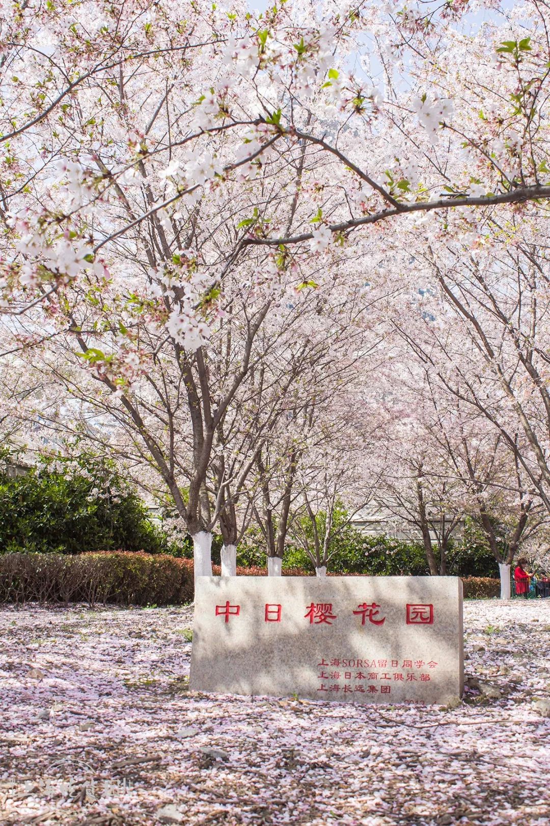 虹口体育场馆,虹口体育场旅游集散中心