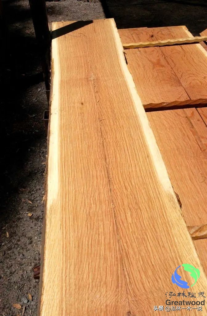 欧洲贵妇出轨被发现,欧洲白富美