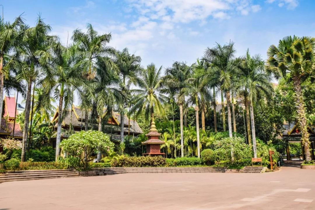 云南西双版纳旅游攻略app,云南西双版纳旅游攻略自由行12月