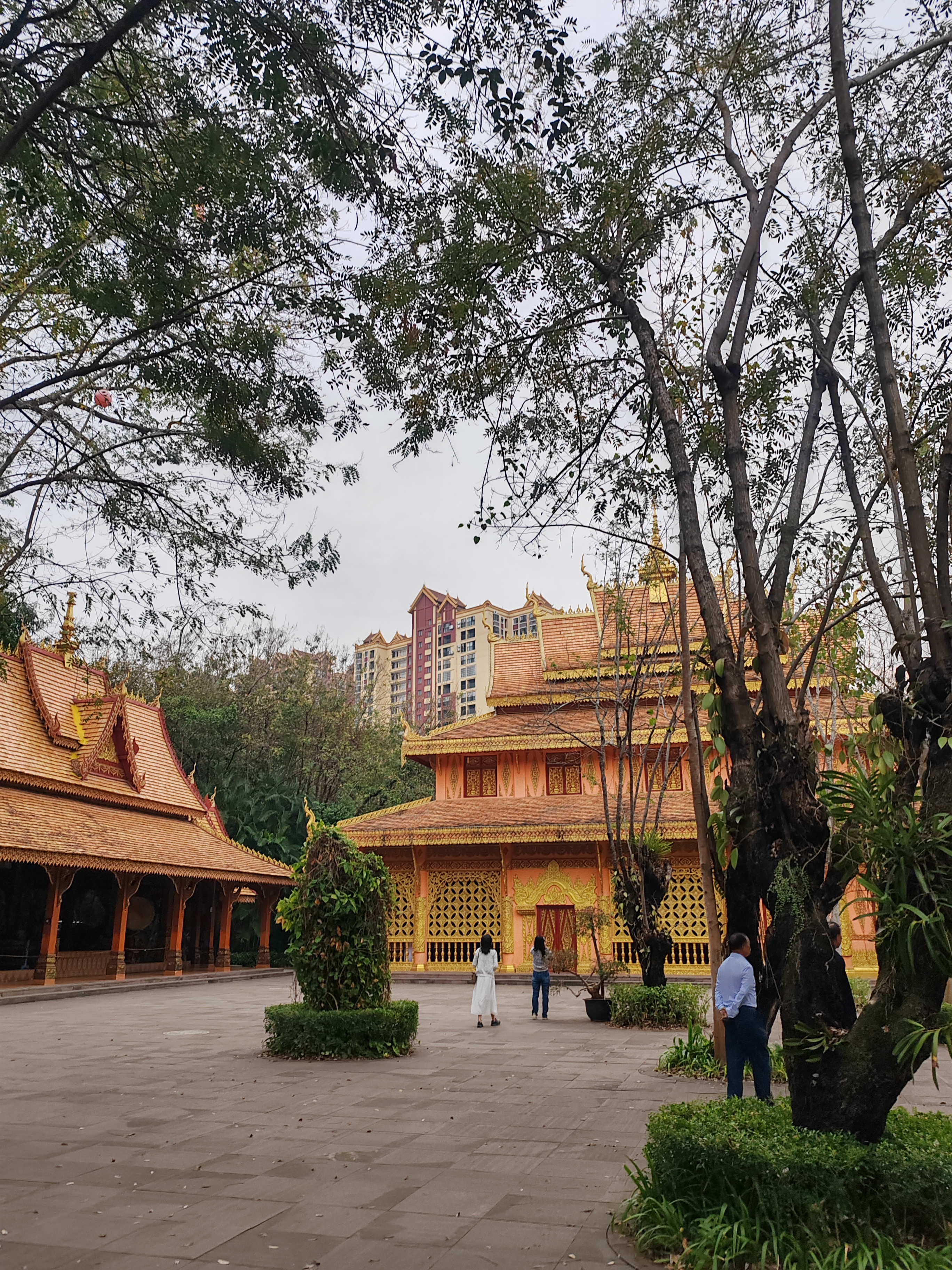 西双版纳曼听园攻略,云南西双版纳打卡曼听公园