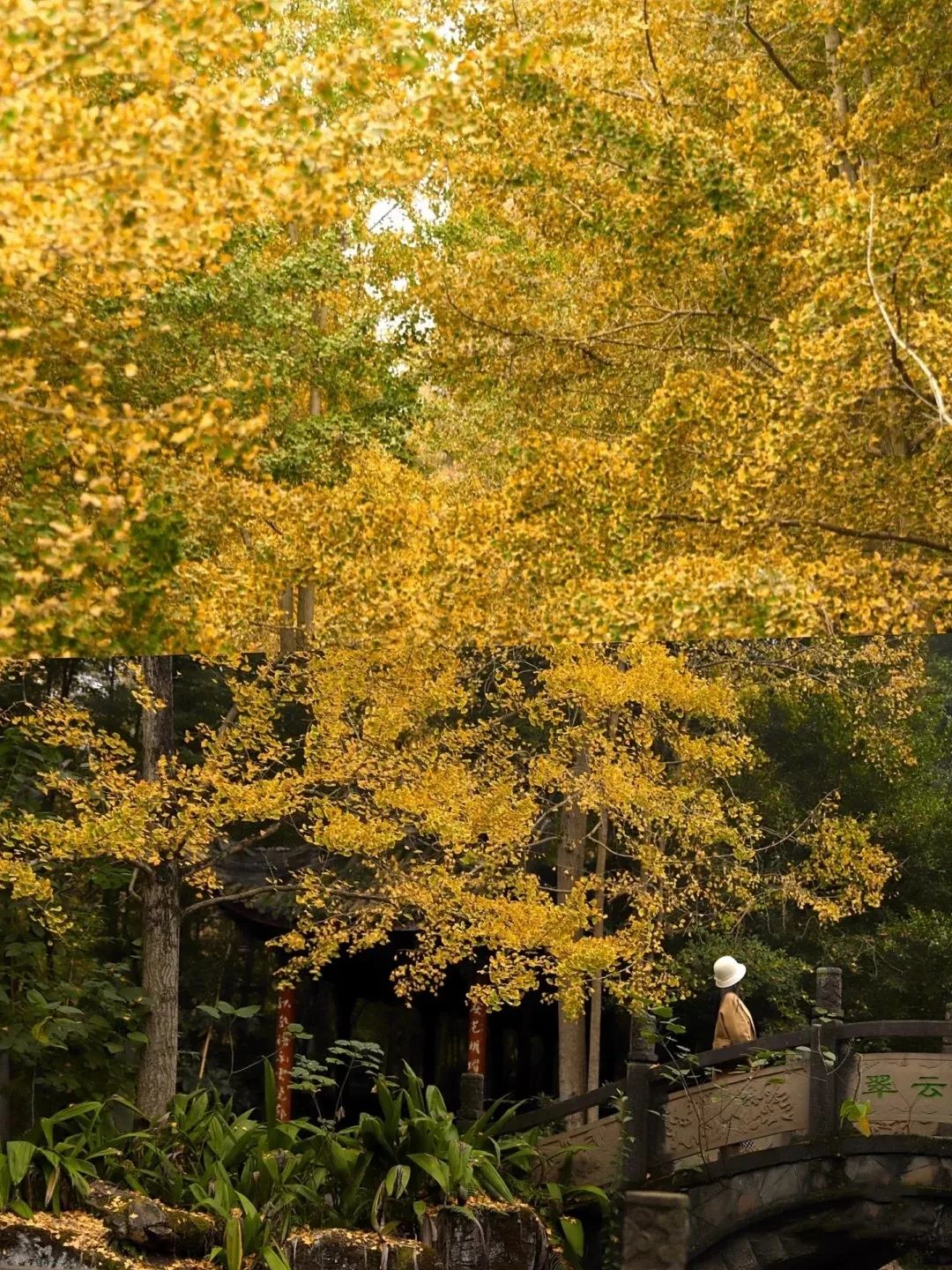 逛吃逛吃逛吃，跟着动车出发3.0