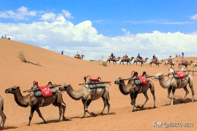 世界五大沙漠,五大沙漠