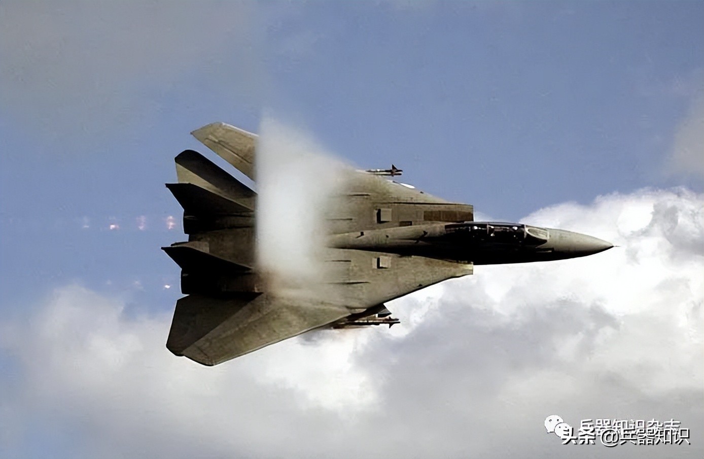 飞天的猫,飞天的猫和鱼